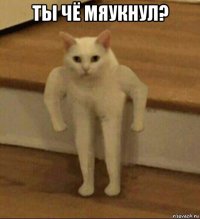 ты чё мяукнул? 