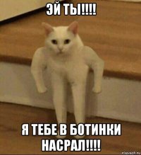 эй ты!!!! я тебе в ботинки насрал!!!!