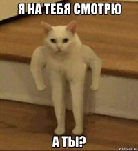 я на тебя смотрю а ты?