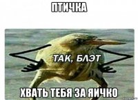 птичка хвать тебя за яичко