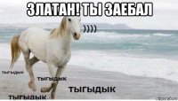 златан! ты заебал 