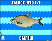 ты вот чего тут вылещ