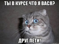 ты в курсе что я вася? друг пети!