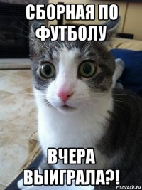 сборная по футболу вчера выиграла?!