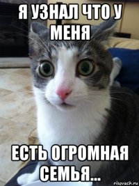 я узнал что у меня есть огромная семья...