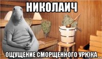 николаич ощущение сморщенного урюка