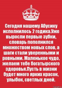 Сегодня нашему Абусику исполнилось 2 годика.Уже выросли первые зубки, словарь пополнился множеством новых слов, а шаги стали уверенными и ровными. Маленькое чудо, желаем тебе богатырского здоровья.Пусть в жизни будет много ярких красок, улыбок, светлых дней.