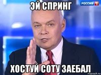 эй спринг хостуй соту заебал