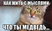 как жить с мыслями что ты медведь...