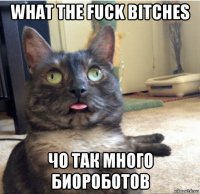 what the fuck bitches чо так много биороботов