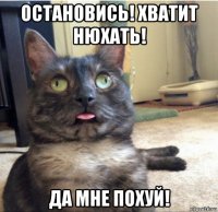 остановись! хватит нюхать! да мне похуй!