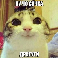 ну чо сучка дратути