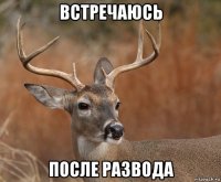 встречаюсь после развода