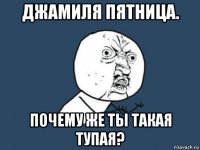 джамиля пятница. почему же ты такая тупая?