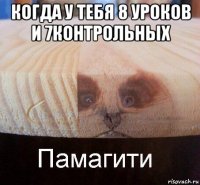 когда у тебя 8 уроков и 7контрольных 