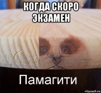 когда скоро экзамен 