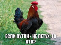  если путин - не петух, то кто?