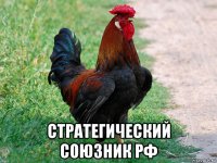  стратегический союзник рф