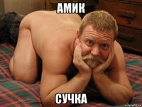 амик сучка