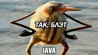  java