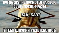 когда друг не посмотел на свою обувь после фразы у тебя шнурки развязались