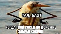  когда твой сосед по дорожке забрал коврик