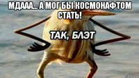 мдааа... а мог бы космонафтом стать! 