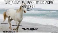 когда на тебя бежит тима из 3 быков 