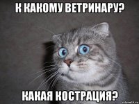 к какому ветринару? какая кострация?