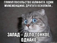 глянул посольство халифата: один мужеженщина, другого оскопили... запад – дело тонкое, однако