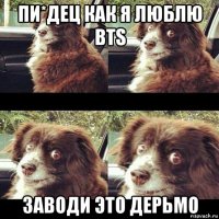 пи*дец как я люблю bts заводи это дерьмо