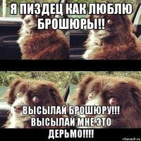 я пиздец как люблю брошюры!! высылай брошюру!!! высылай мне это дерьмо!!!!