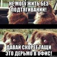 не могу жить без подтягиваний! давай скорее тащи это дерьмо в офис!