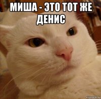 миша - это тот же денис 