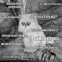 Навального не допускают Димон ворует Путин на 4 срок идёт На конституцию всем насрать Собчак агент кремля Все сми пропутинские С коррупцией никто не борется Суды не работают Митинги разгоняют Образование в жопе