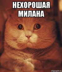 нехорошая милана 