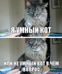 я умный кот или не умный вот в чём вопрос