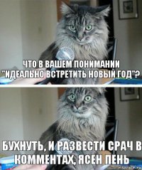 Что в вашем понимании "идеально встретить Новый Год"? Бухнуть, и развести срач в комментах, ясен пень