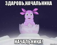 здаровь,начальника начальника!