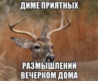 диме приятных размышлений вечерком дома