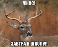 ужас! завтра в школу!!