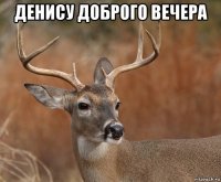 денису доброго вечера 