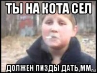 ты на кота сел должен пизды дать мм