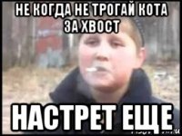 не когда не трогай кота за хвост настрет еще