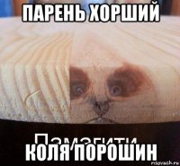 парень хорший коля порошин