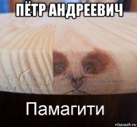 пётр андреевич 