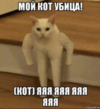 мой кот убица! (кот) яяя яяя яяя яяя