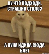 ну что подходи, страшно стало? а нука идика сюда блет