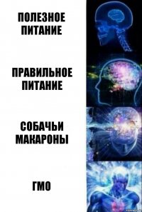 Полезное питание правильное питание собачьи макароны ГМО