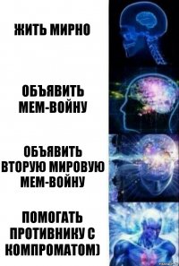 Жить мирно Объявить мем-войну Объявить вторую мировую мем-войну Помогать противнику с компроматом)